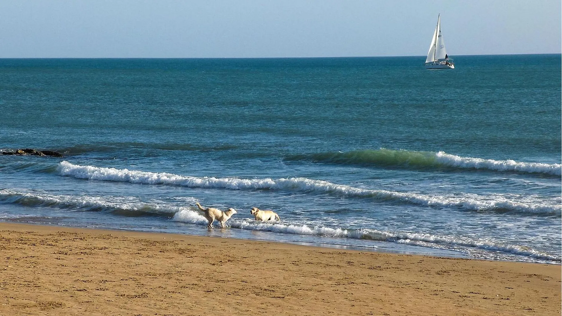 Pet Friendly Home In Augusta With House Sea View Italy